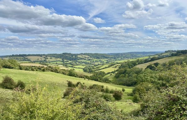 Looking over meadows